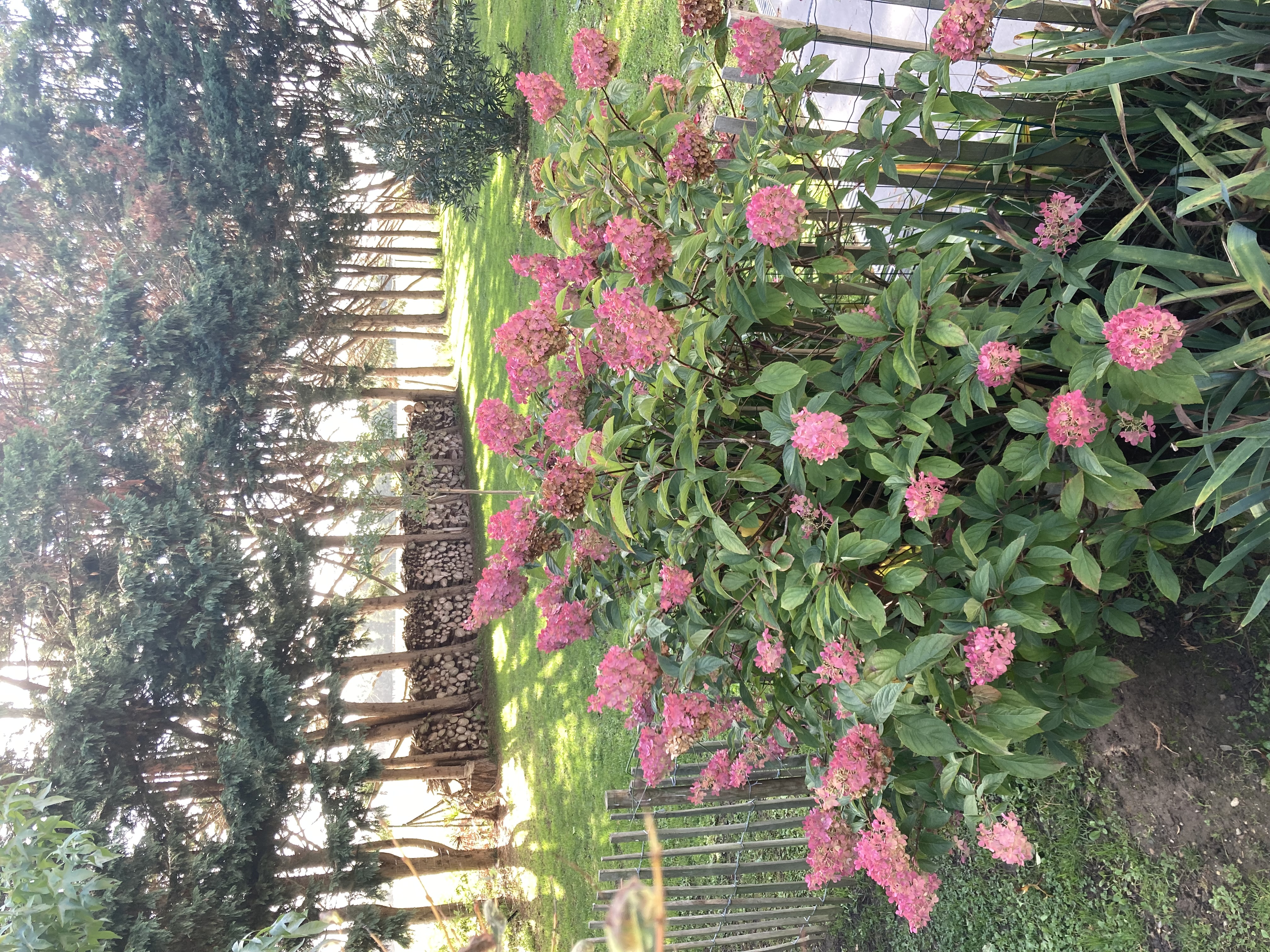 La Couarderie, Tigy - photo 7