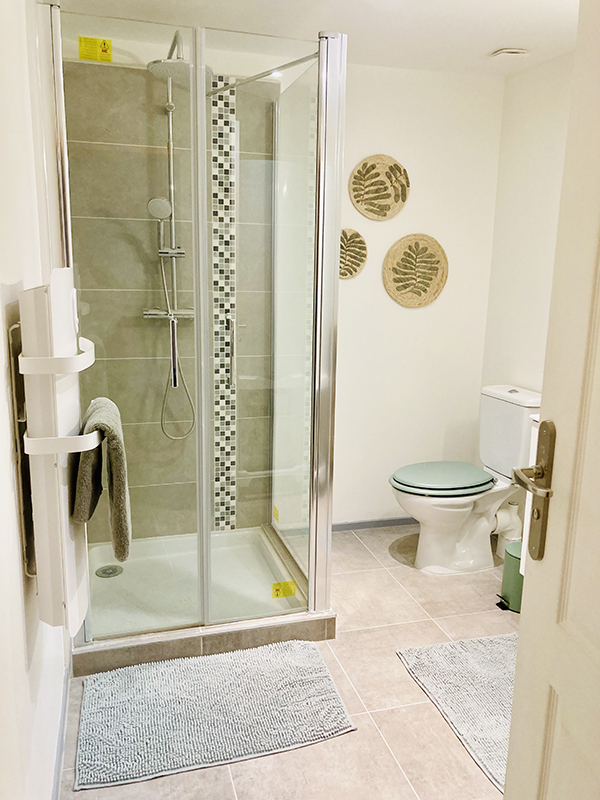 Gîte de charme La Golondrina, Neuillay-les-Bois - photo 8