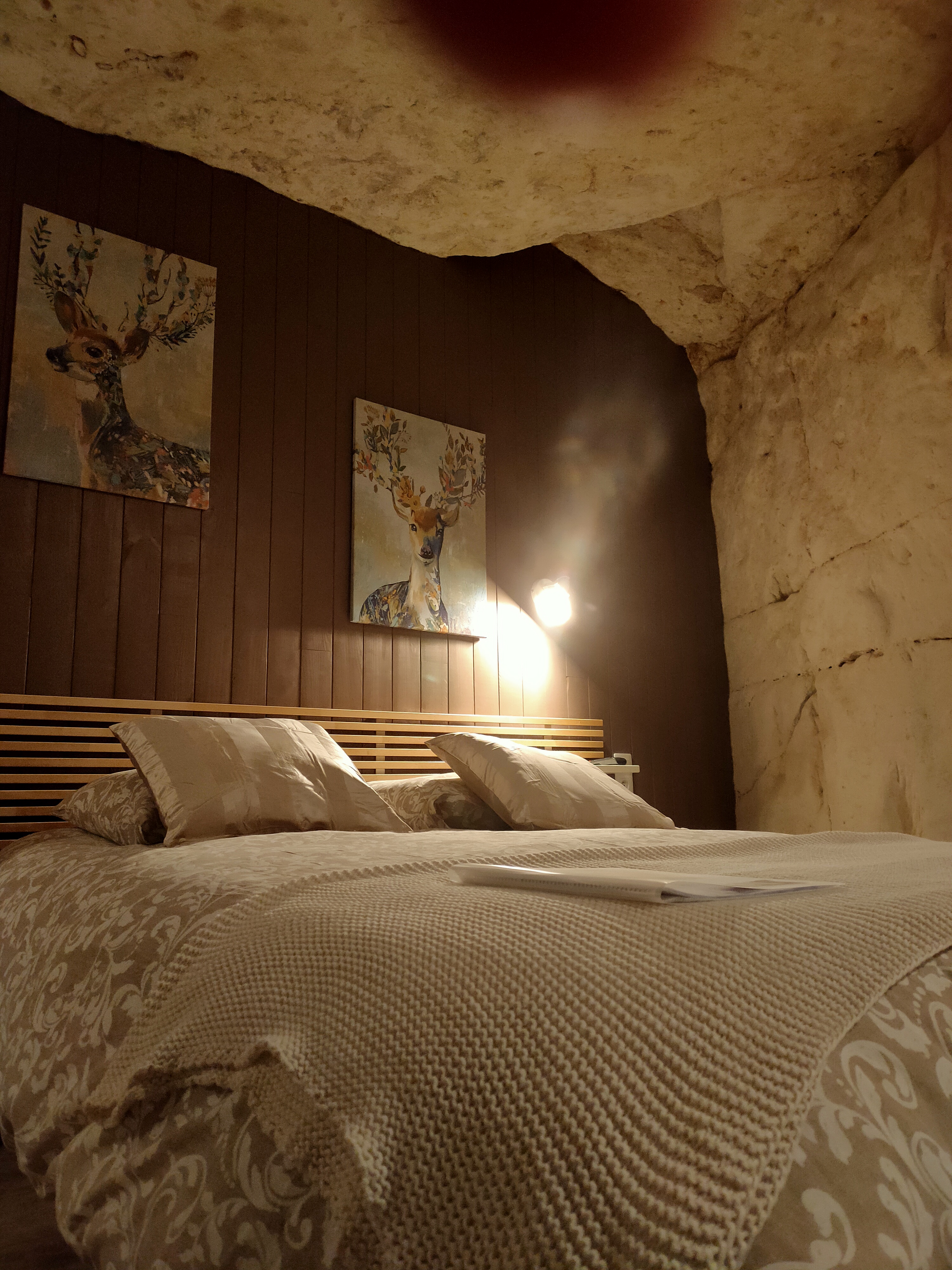 Les Troglos de Beaulieu, Beaulieu-lès-Loches - photo 3