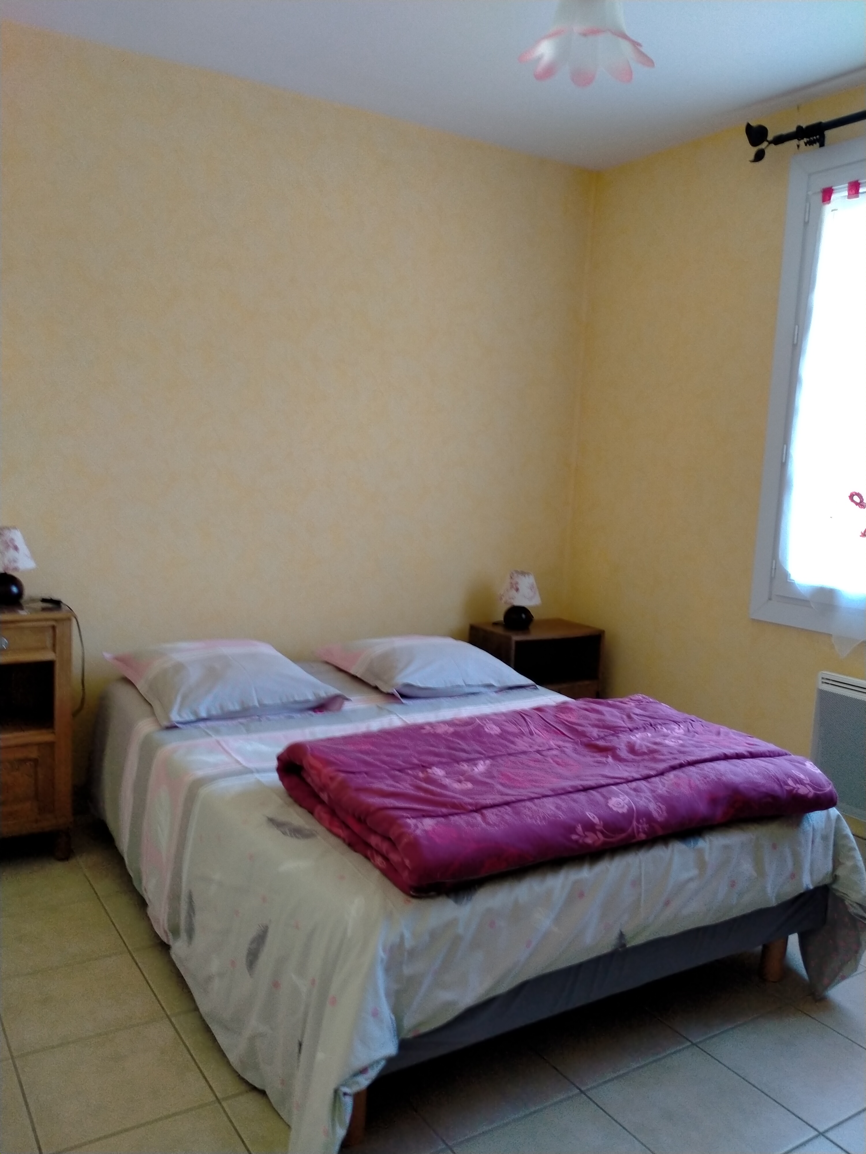 Gîte des vouillons, Châteauvieux - photo 3