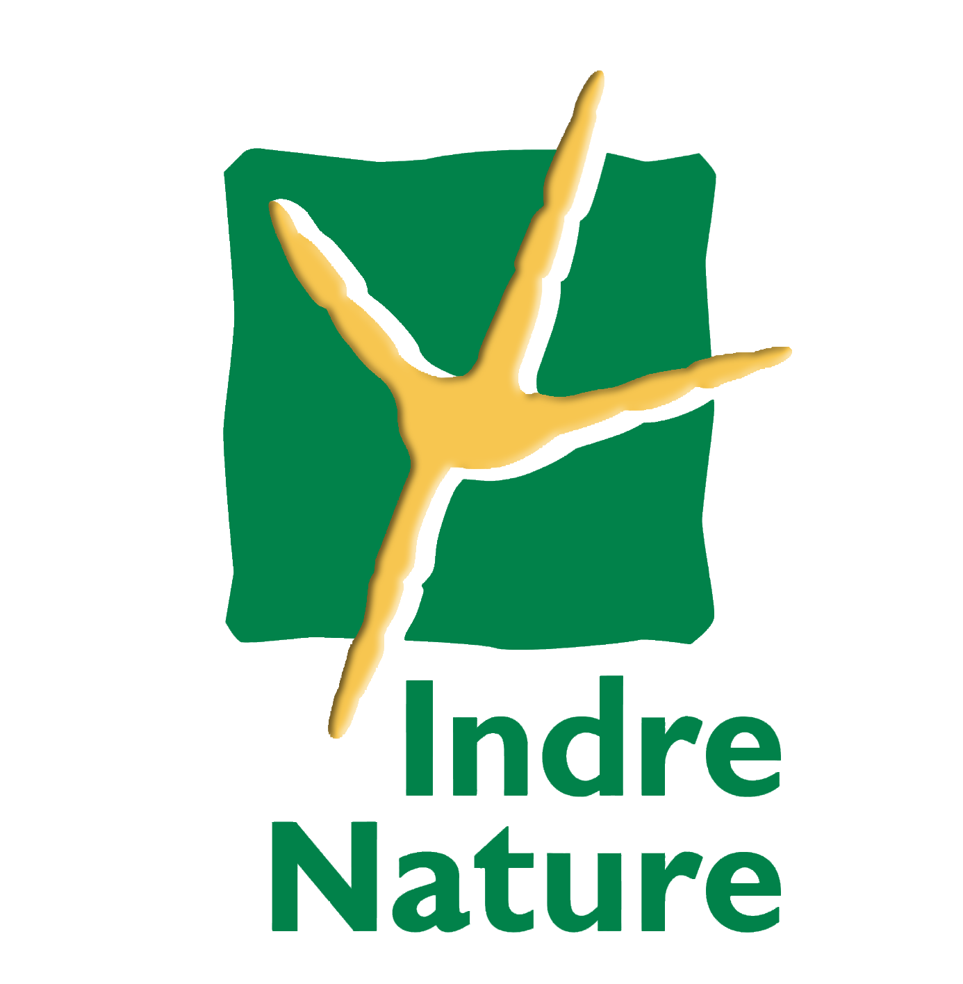 Sortie nature : Insectes des îles du Fouzon