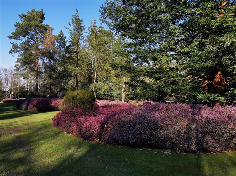 ING-Arboretum_Grandes_Bruyeres-20210320©OTI-CG_163405