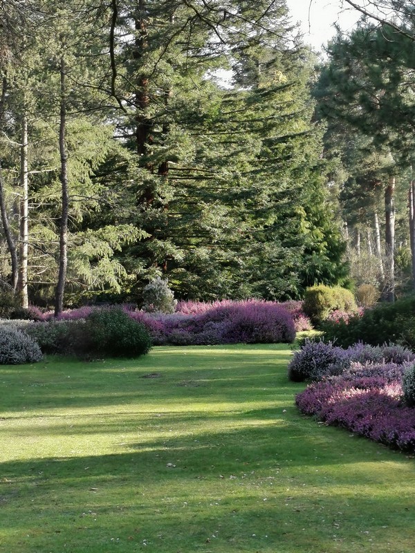 Arboretum des Grandes Bruyères, Ingrannes - photo 10