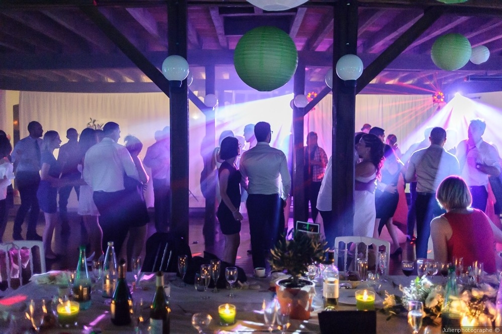 Domaine de L'Epinoy, Saint-Aignan-le-Jaillard - photo 4