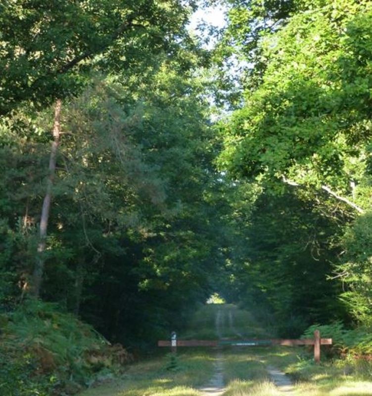Circuit de l'Arboretum des Grandes Bruyères, Vitry-aux-Loges - photo 3