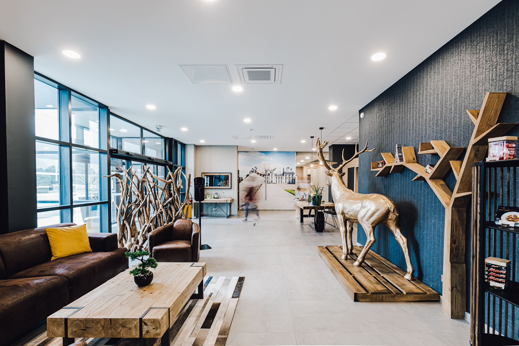 Hôtel ibis styles contres-cheverny, Le Controis-en-Sologne - photo 21