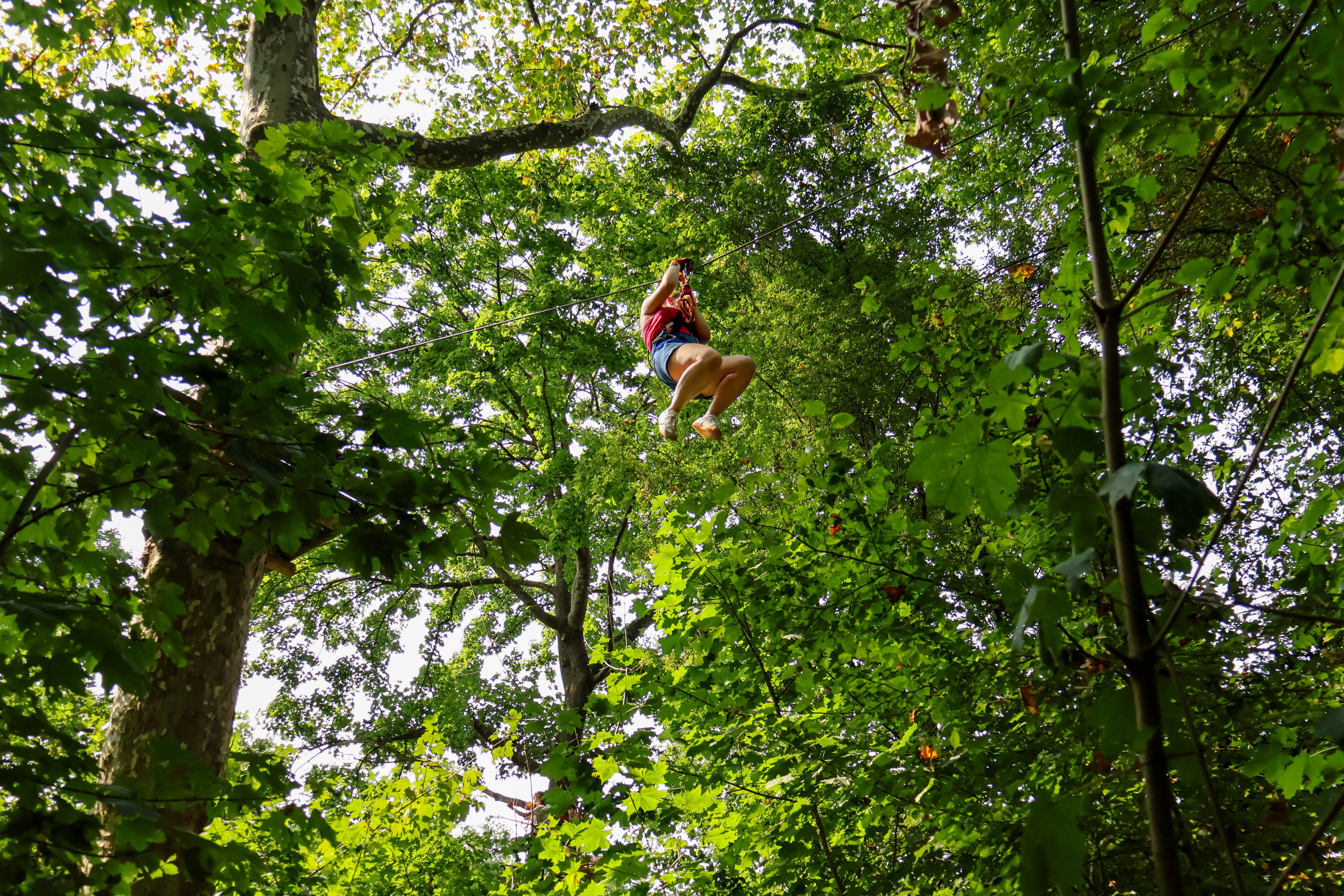 Accrobranche du Léo Parc Aventure