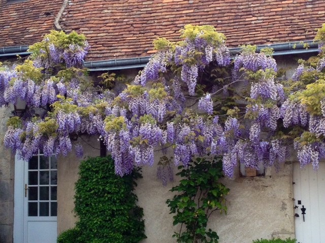 Le Clos Audy, Huisseau-sur-Cosson - photo 10