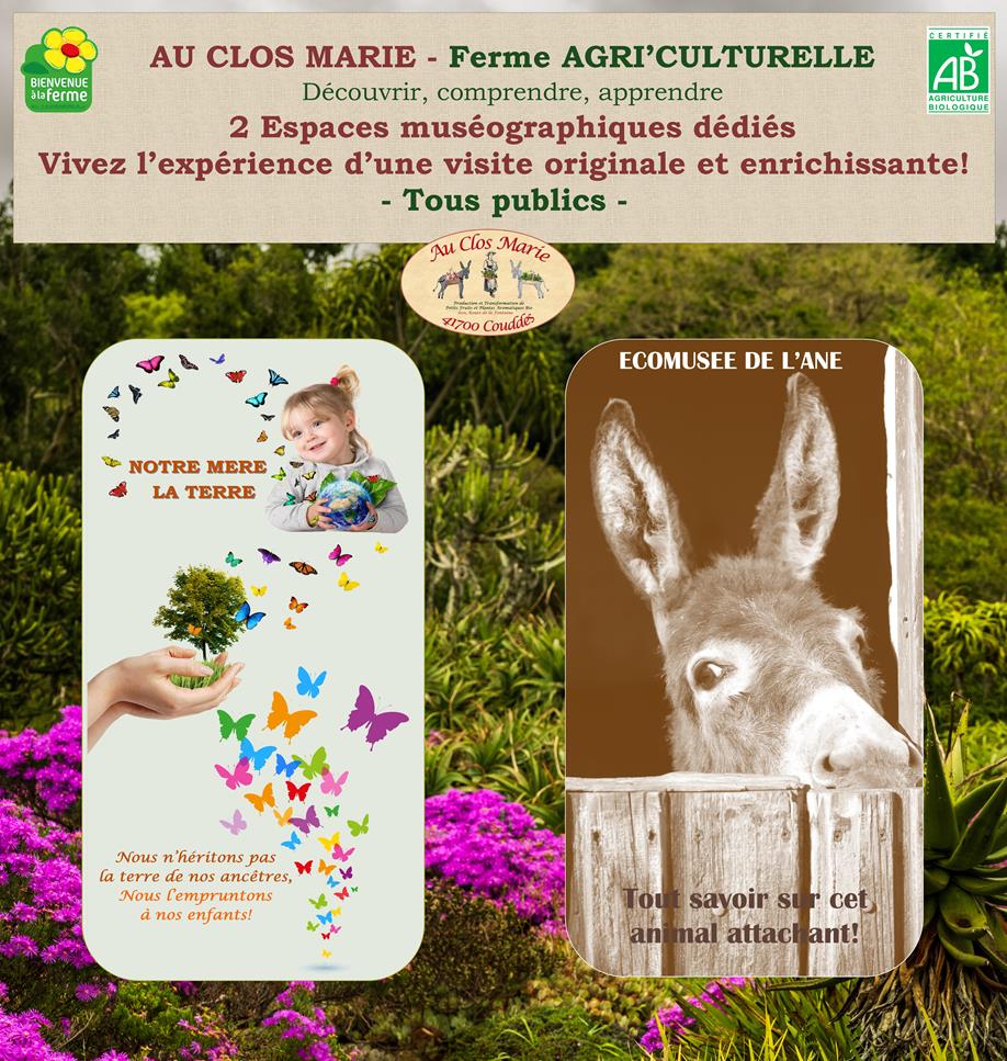 Au clos marie - écomusée de l'âne et  "notre mère la terre" espace scénographique, Couddes - photo 2