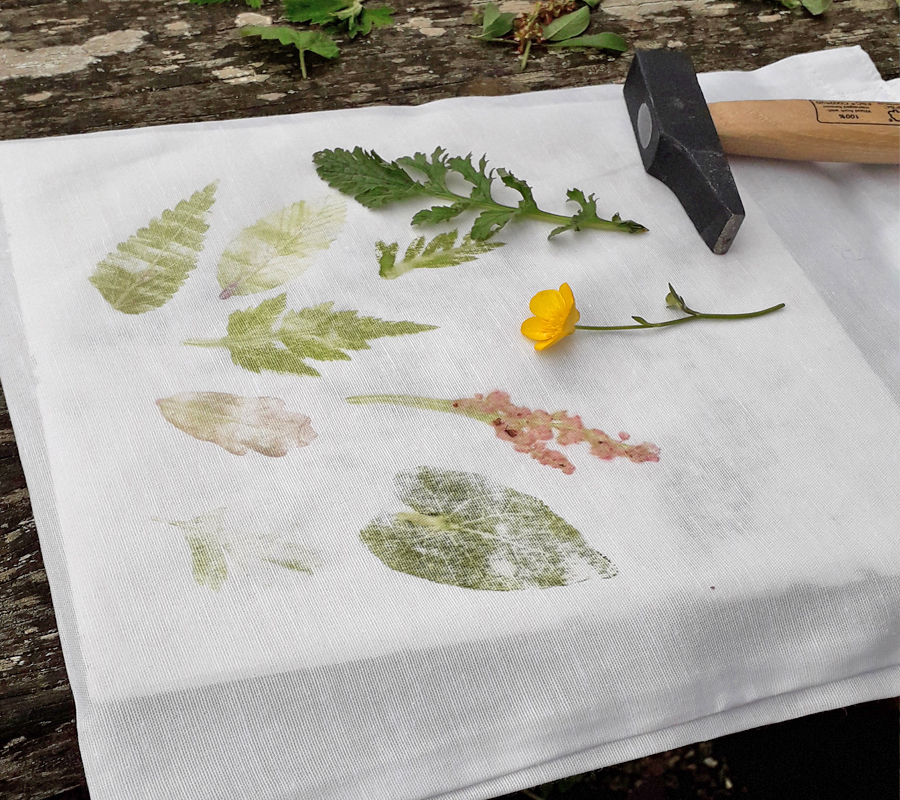 Atelier "Impression végétale"