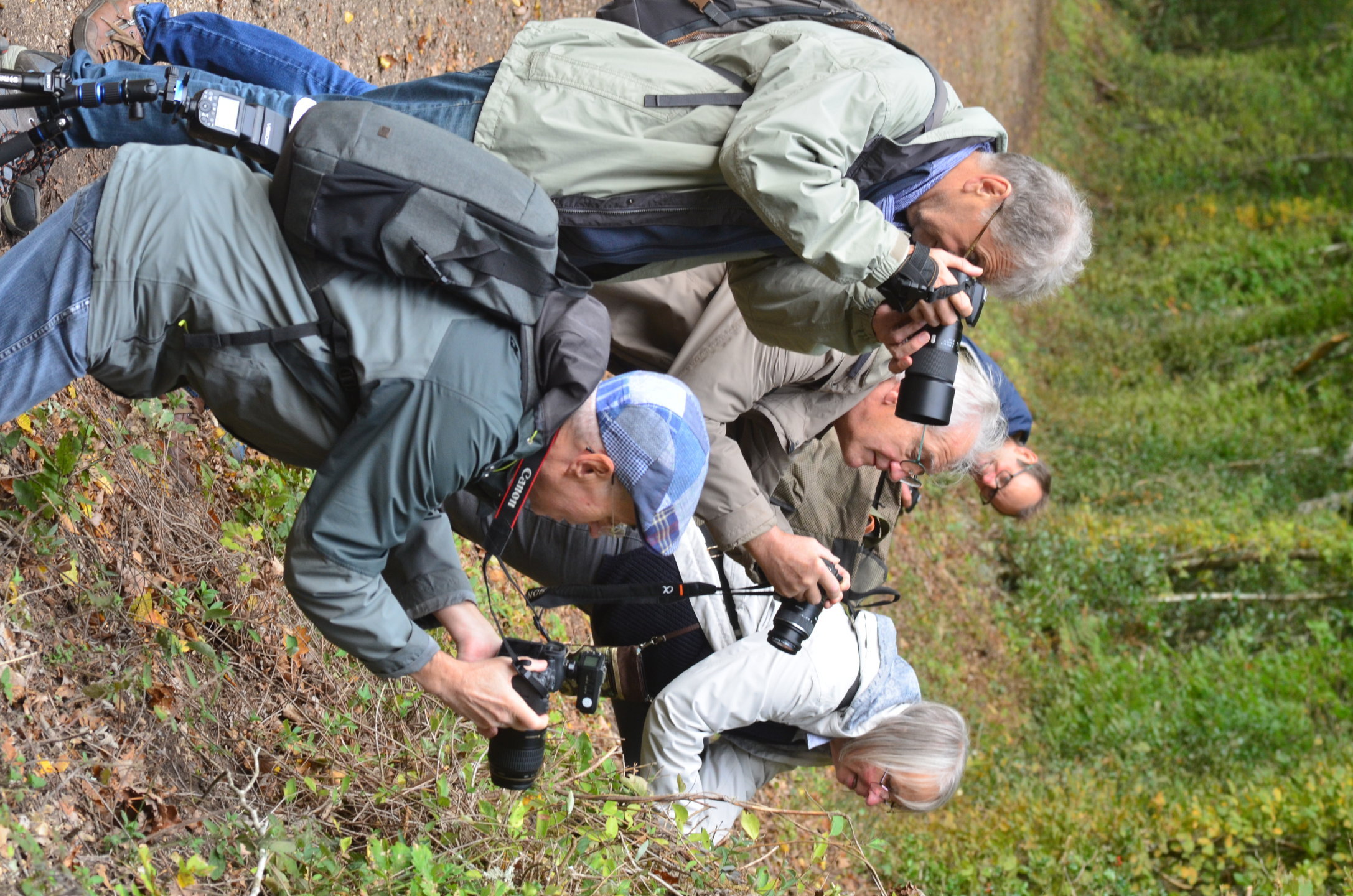 Sorties découverte en vallée du Loir — photo 3