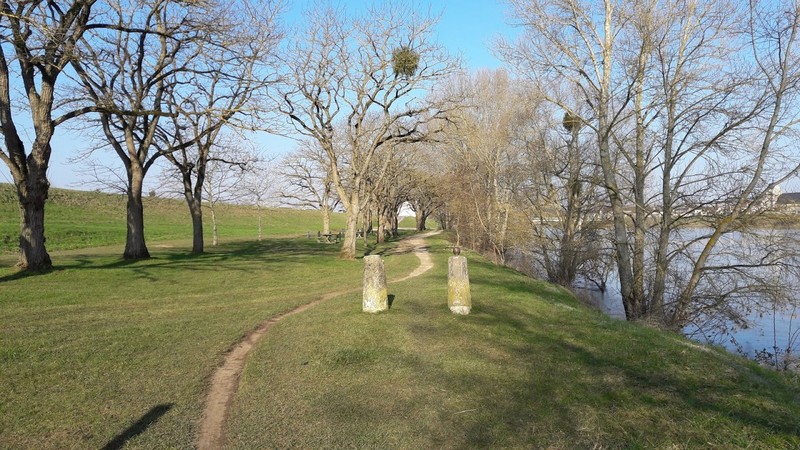 Aire de pique-nique en amont de Jargeau - photo 3