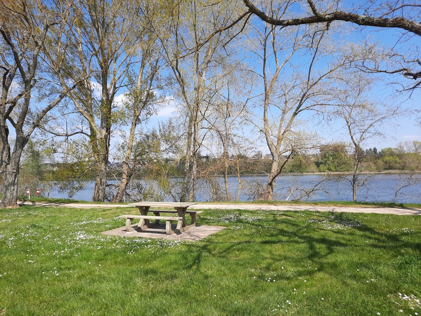 Aire de pique-nique en amont de Jargeau - photo 5