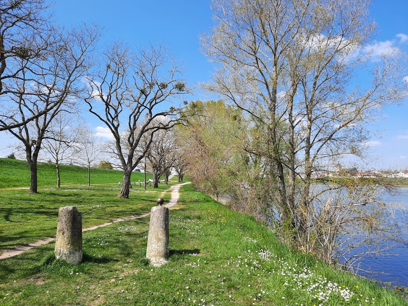 Aire de pique-nique en amont de Jargeau, Jargeau - photo 8