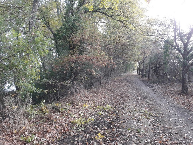 Promenade des Deux Ponts A29, Châteauneuf-sur-Loire - photo 20