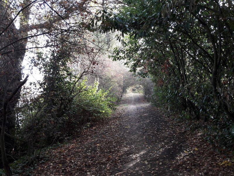 Promenade des Deux Ponts A29, Châteauneuf-sur-Loire - photo 16
