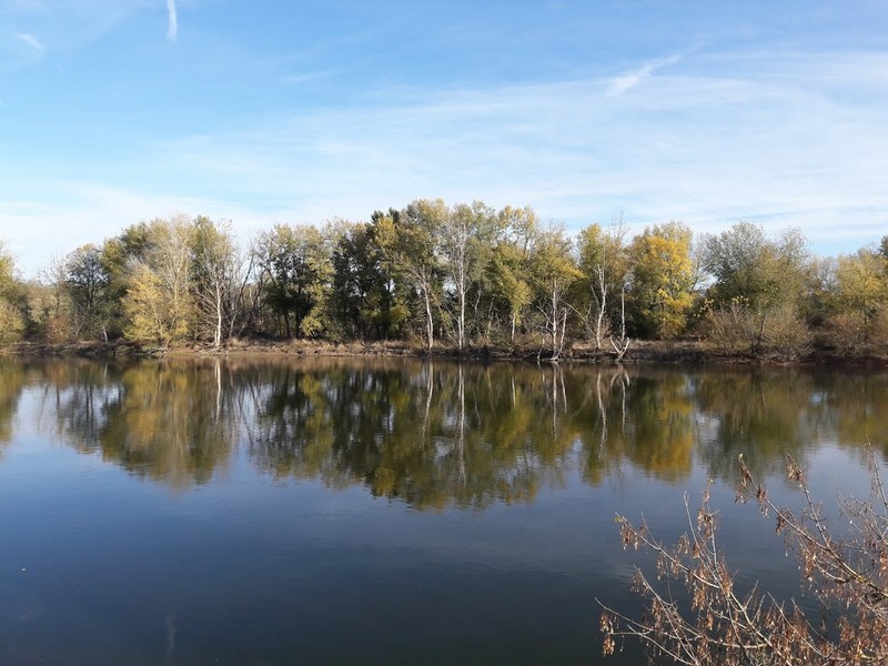 Promenade des Deux Ponts A29, Châteauneuf-sur-Loire - photo 5
