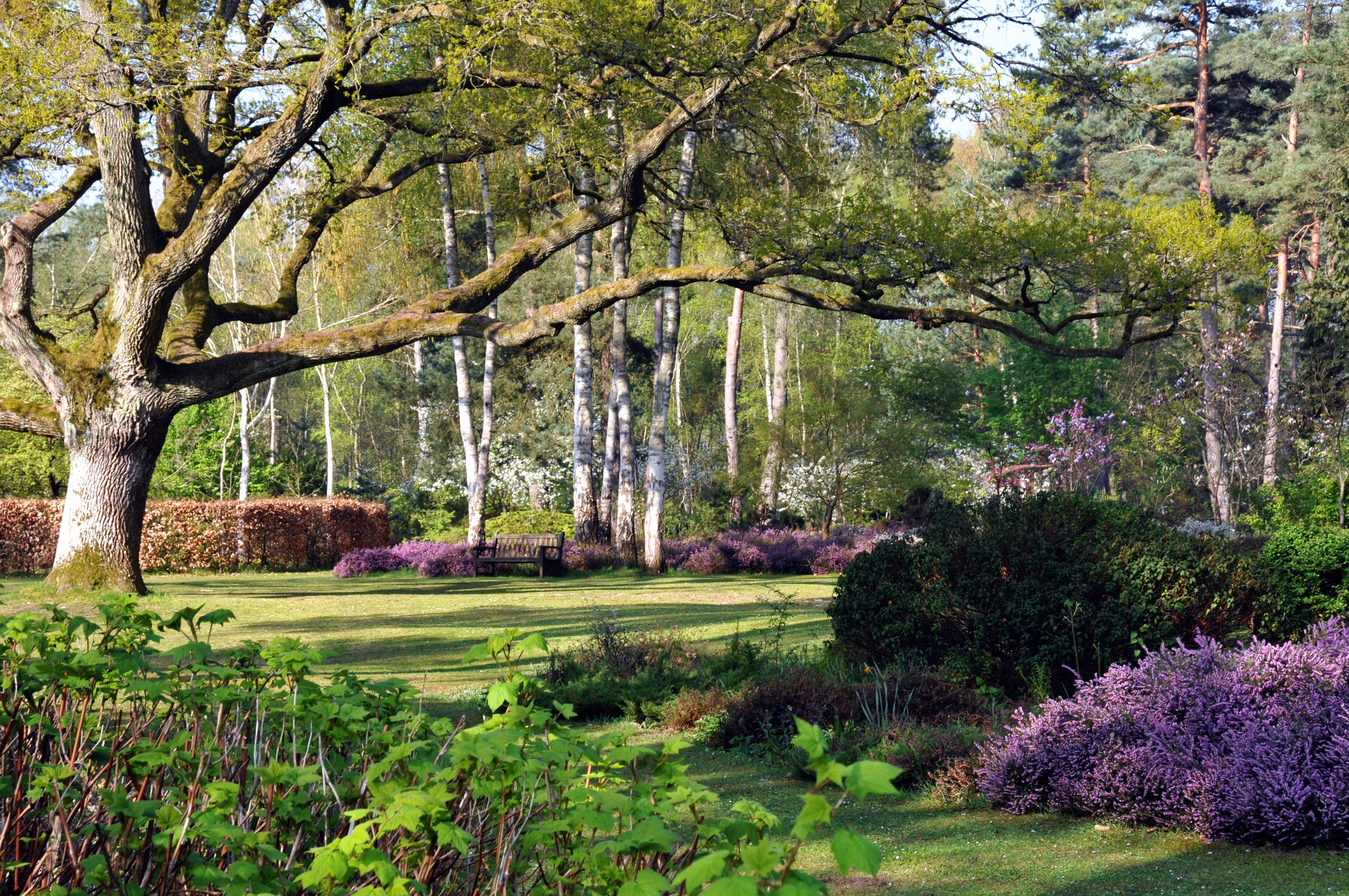 Arboretum des Grandes Bruyères Image de couverture