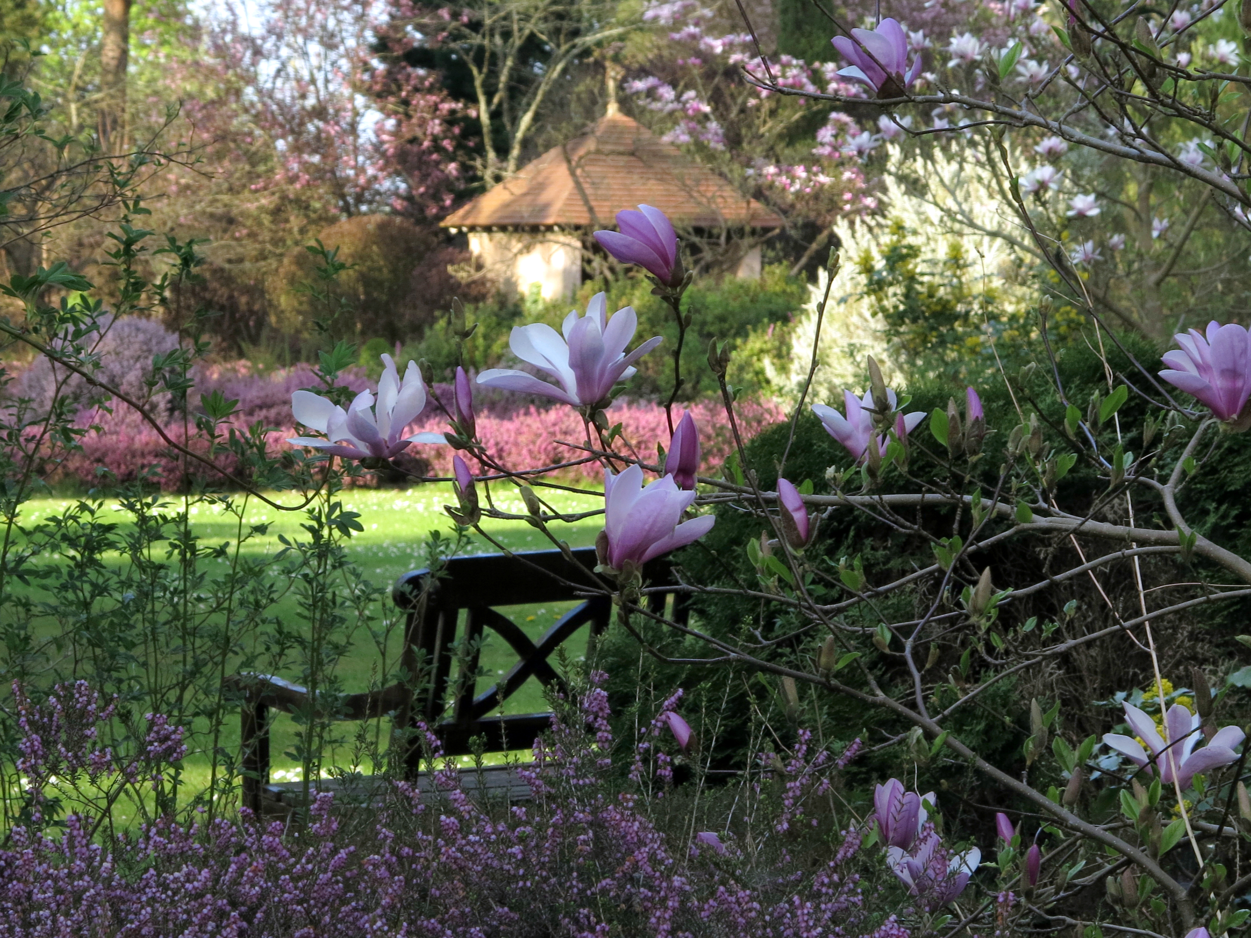 Arboretum des Grandes Bruyères  France Centre-Val de Loire Loiret Ingrannes 45450