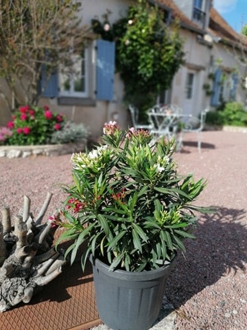 Domaine De La Picardiere - Gîte, Dame-Marie-les-Bois - photo 8