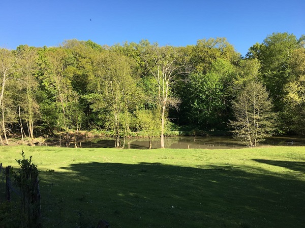 Château Gué Chapelle, Nouzilly - photo 7