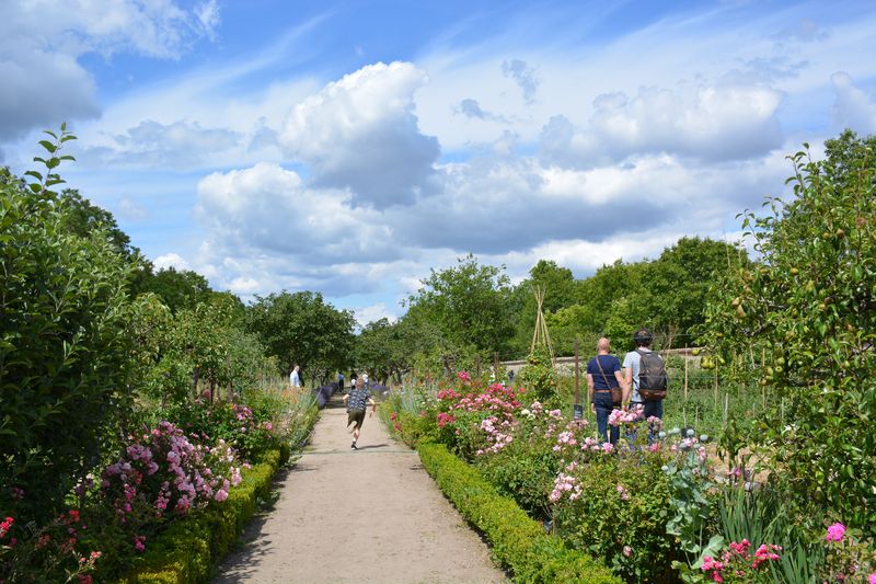 Château de La Bussière, La Bussière - photo 14