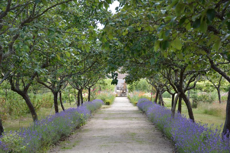 Jardin La Bussière C.Cardon TL