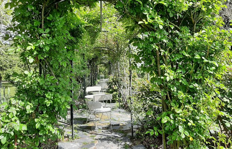 Roseraie de Morailles, Pithiviers-le-Vieil - photo 2