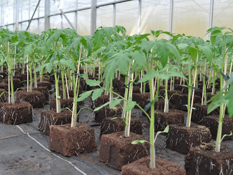 Les Jardins de Chavignac