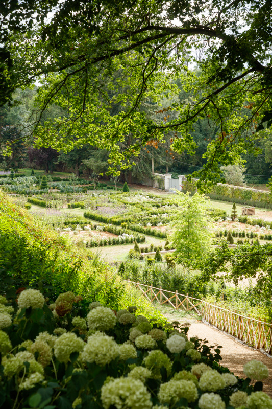 Château Louise de La Vallière, Reugny - photo 20