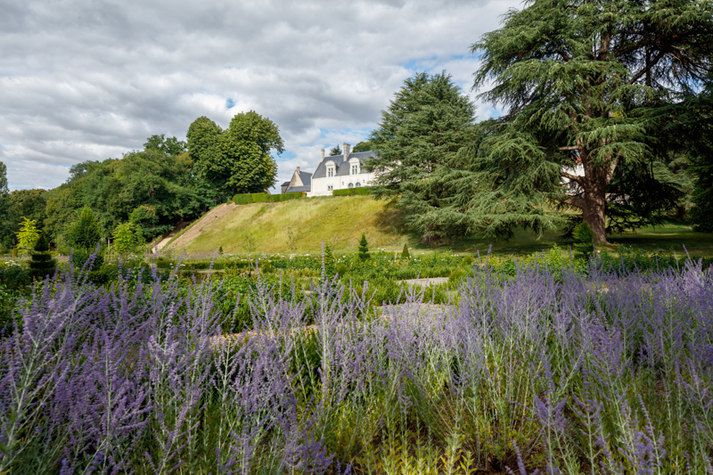 Château Louise de La Vallière, Reugny - photo 11