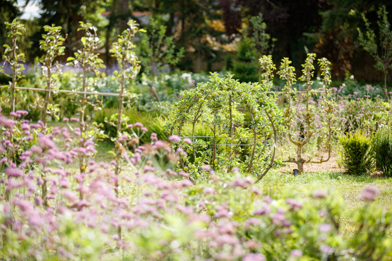 Château Louise de La Vallière, Reugny - photo 30