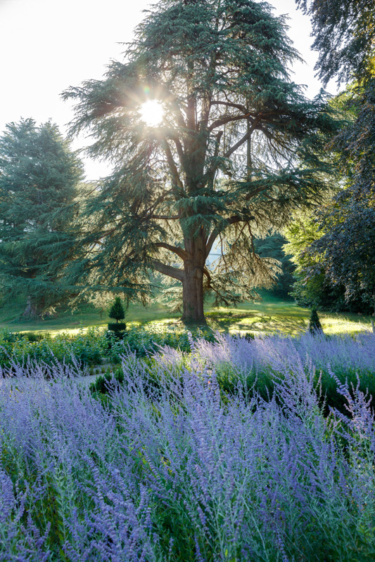 Château Louise de La Vallière, Reugny - photo 25