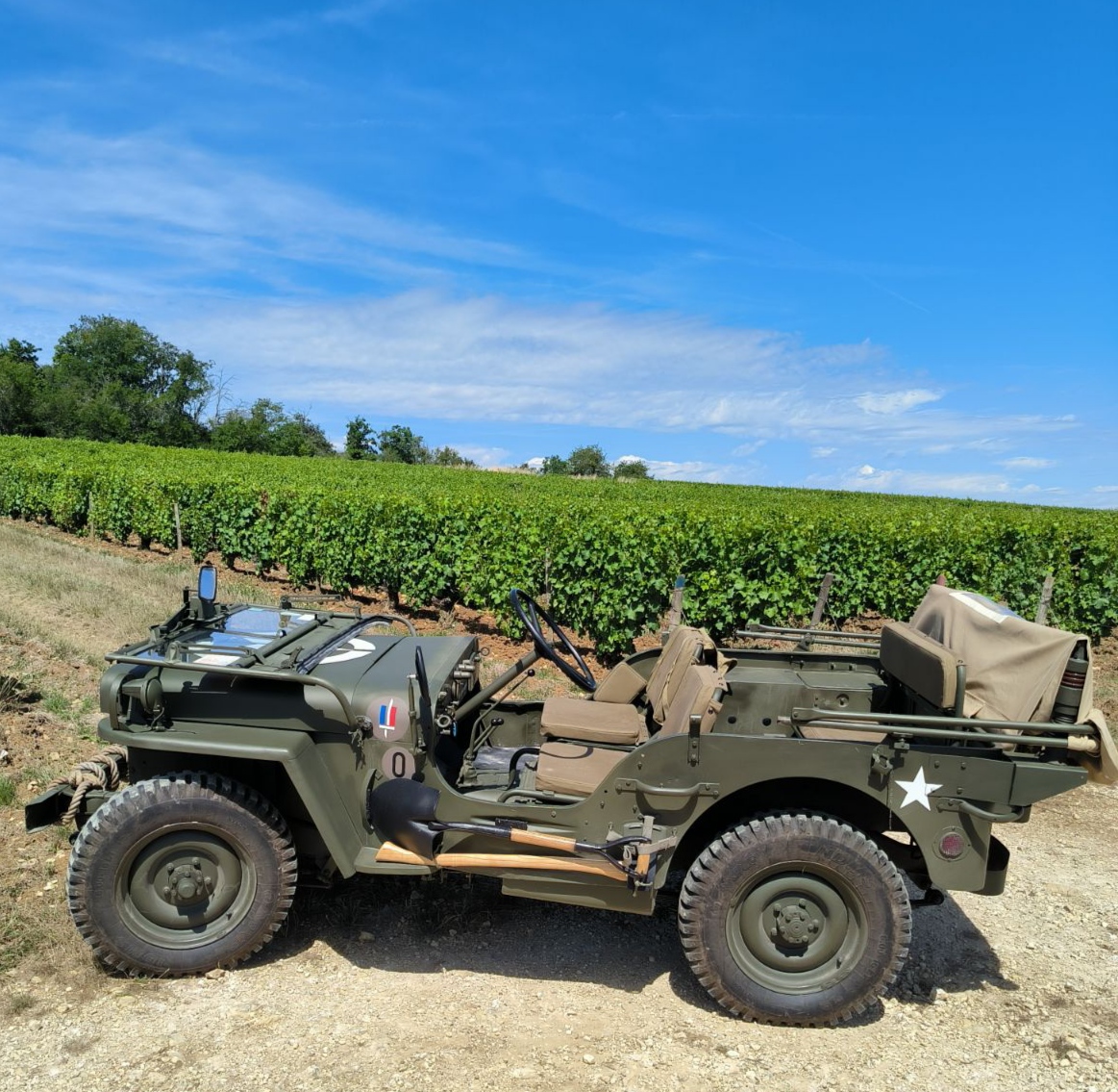 Jeep Wine Tour: Balades oenotouristiques en Jeep Willys, Thauvenay - photo 2