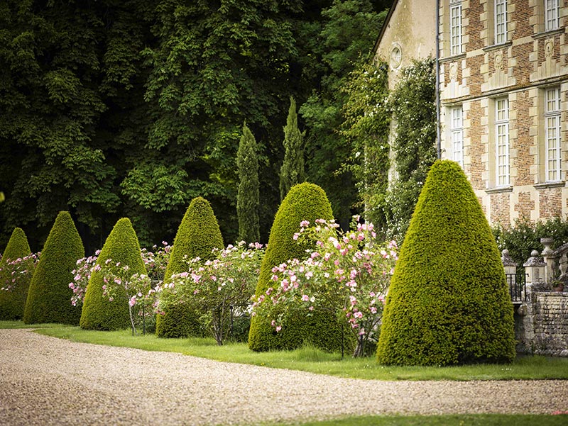 Jardin du château de Jussy, Jussy-Champagne - photo 8