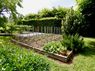 L'Annexe, Verdigny - photo 2