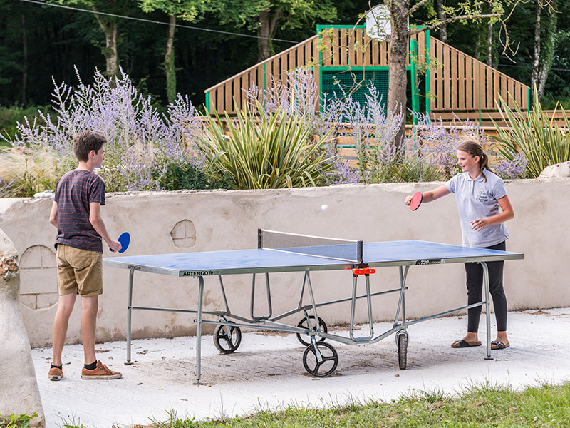 L'Orangerie de Beauregard, Villedômer - photo 10