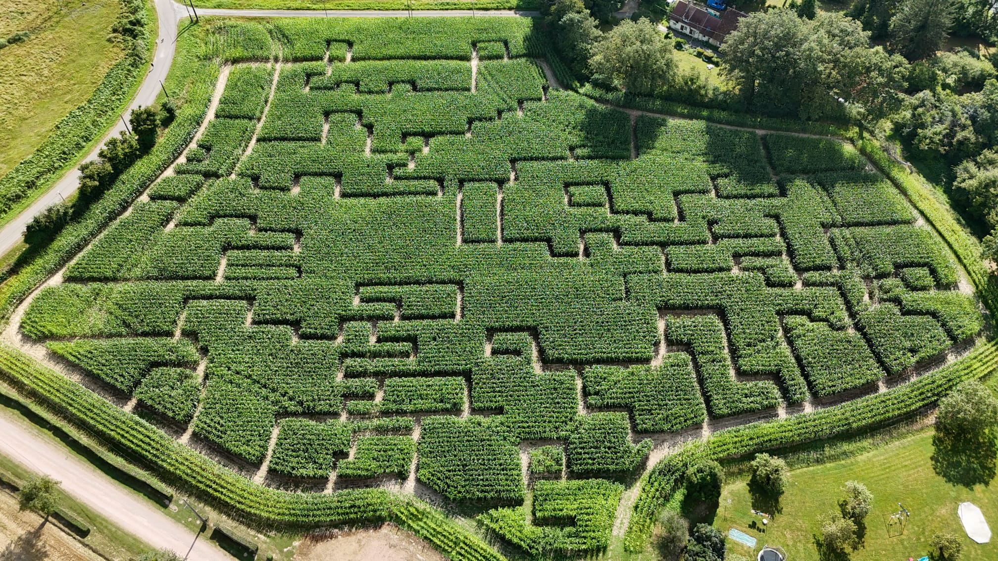 Chasse au trésor dans un labyrinthe de maïs