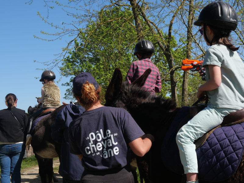 Pôle du Cheval et de l'Âne, La Celle-Condé - photo 4