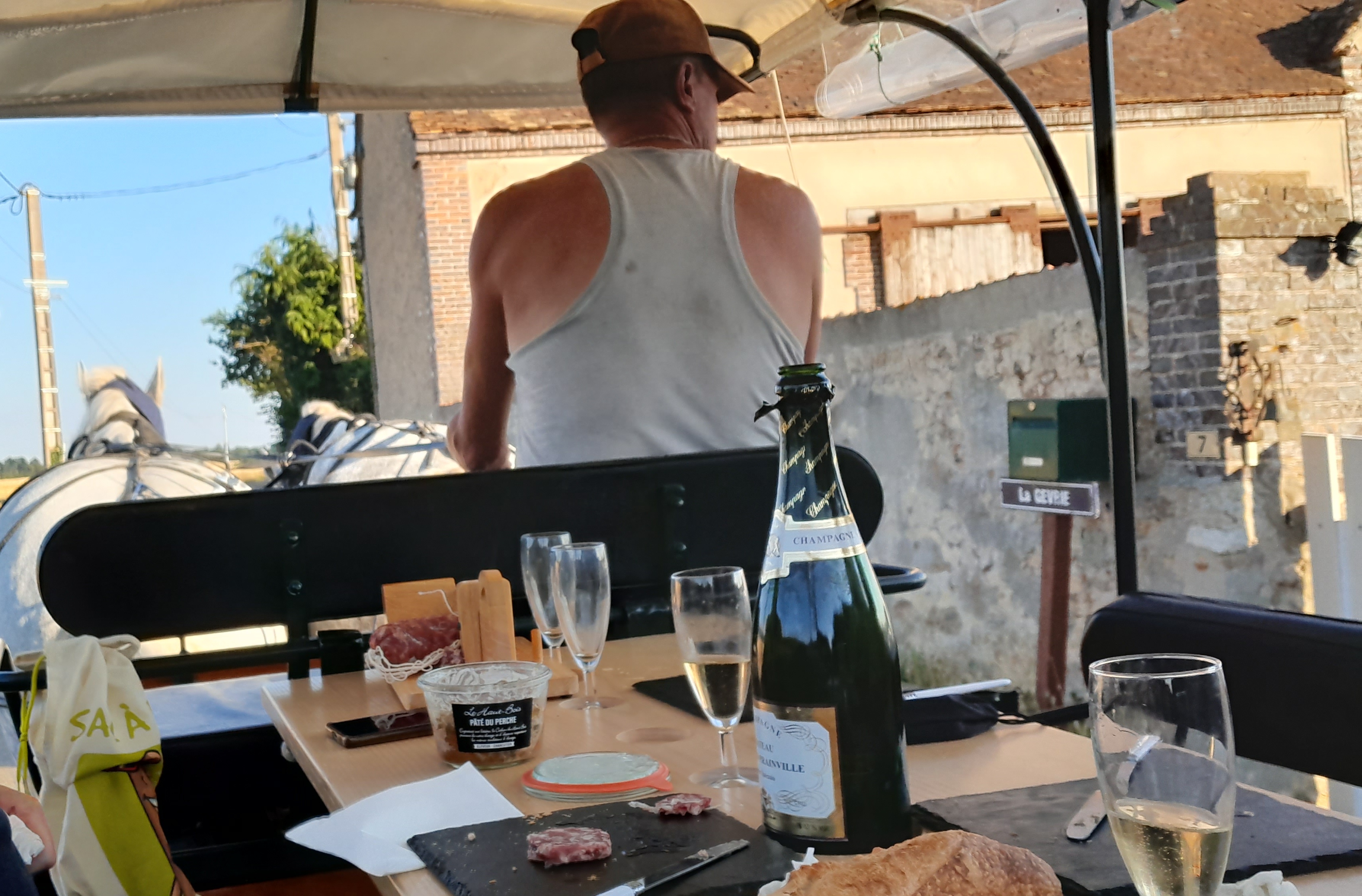 Les calèches du Perche - Ecurie d'Albe, Saint-Jean-Pierre-Fixte - photo 9