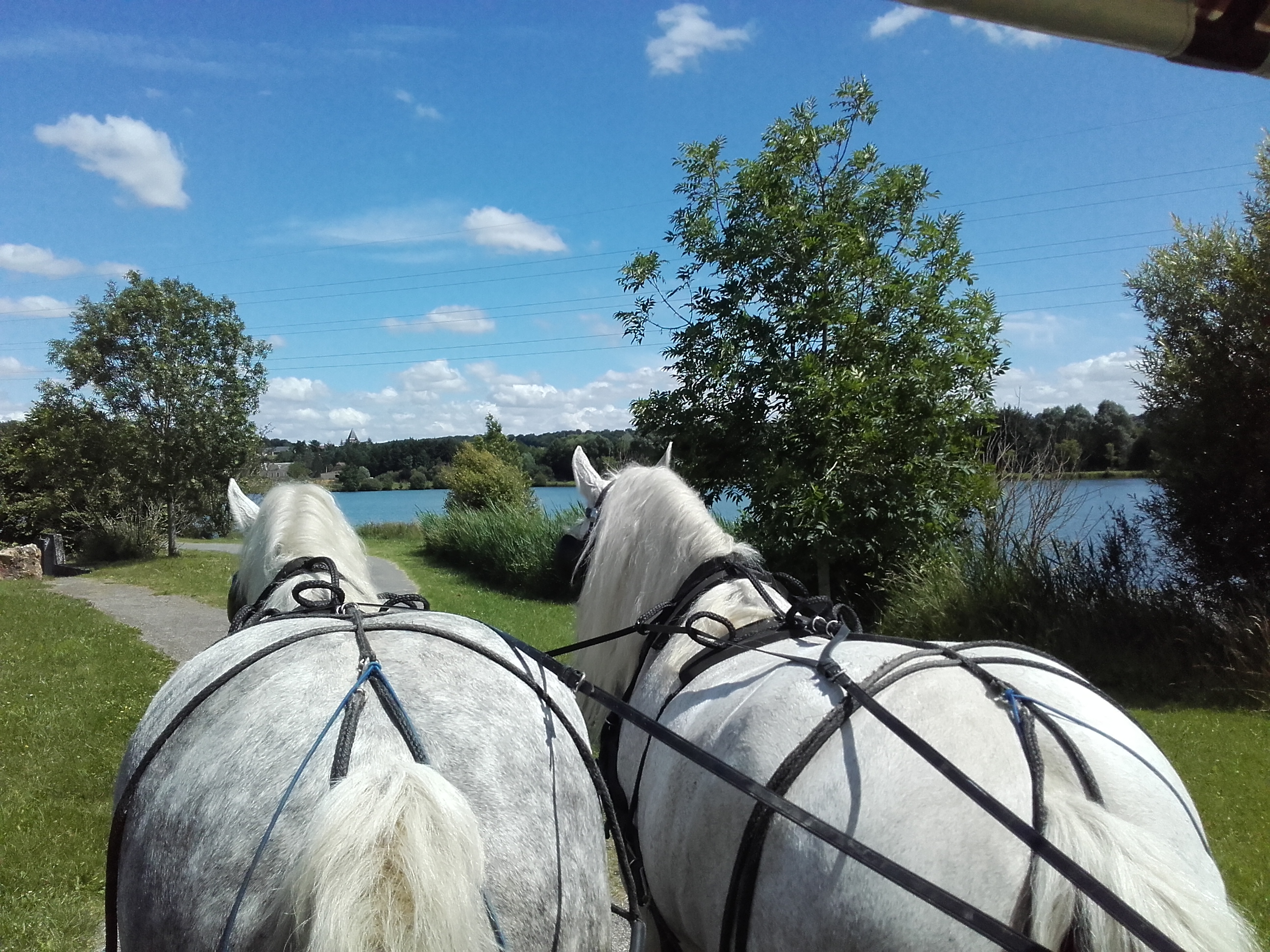 Les calèches du Perche - Ecurie d'Albe, Saint-Jean-Pierre-Fixte