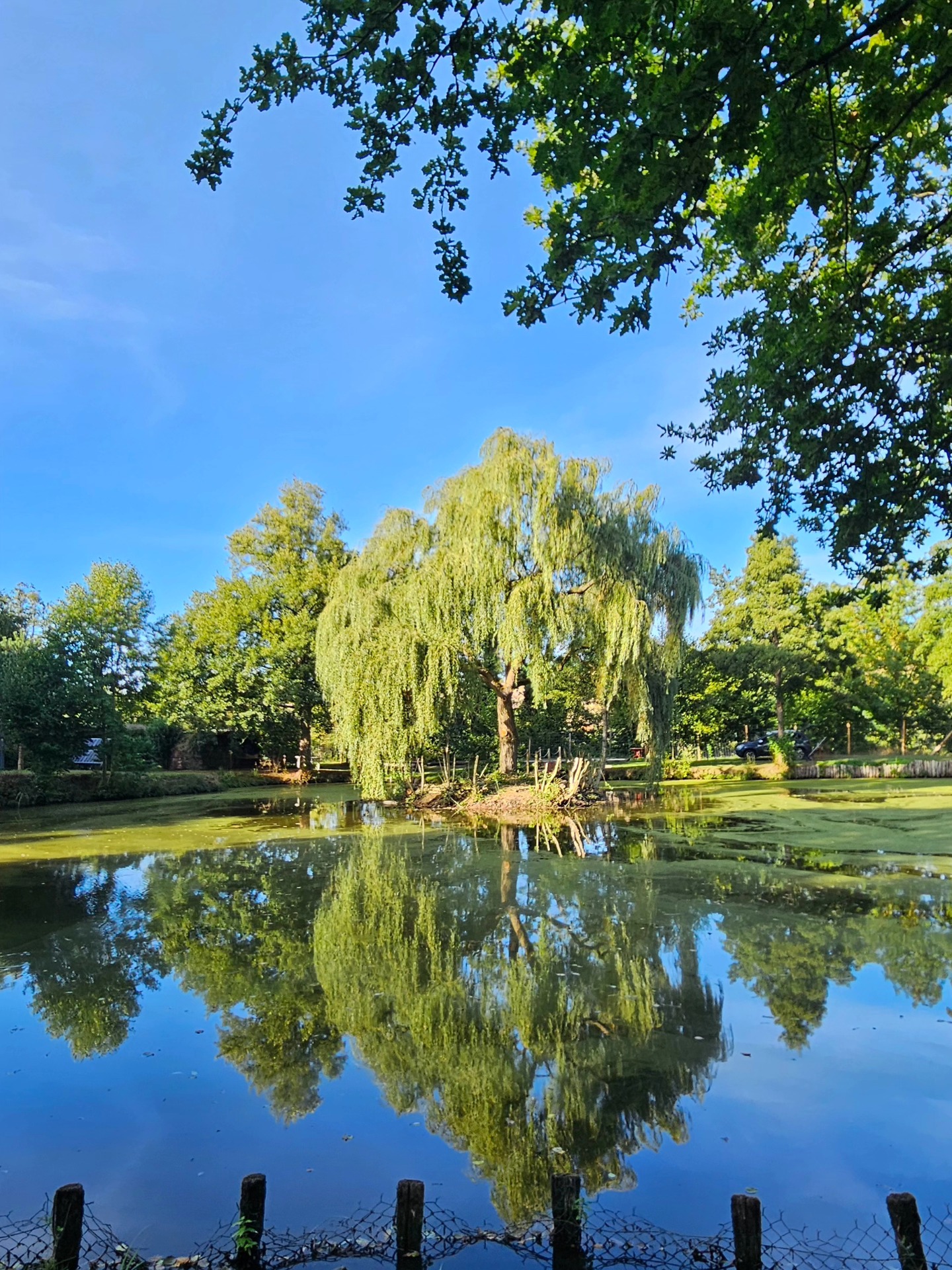 Etang de Manon, Saint-Ouen-Marchefroy - photo 13
