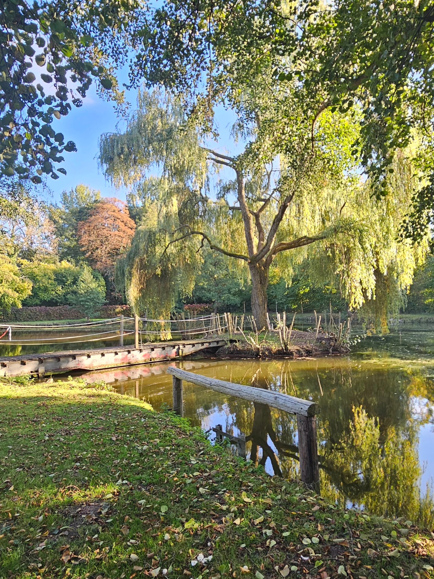 Etang de Manon, Saint-Ouen-Marchefroy - photo 9