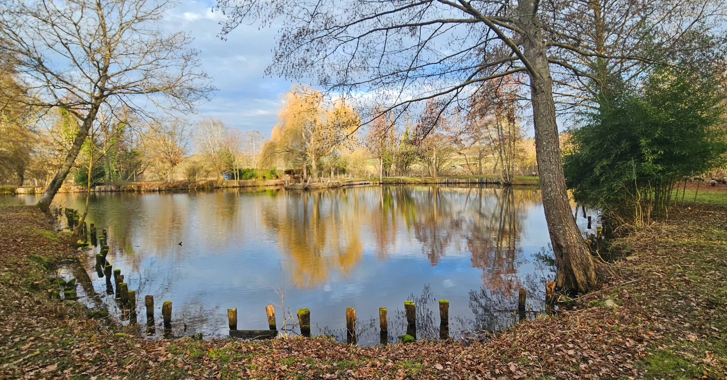 Etang de Manon, Saint-Ouen-Marchefroy - photo 6