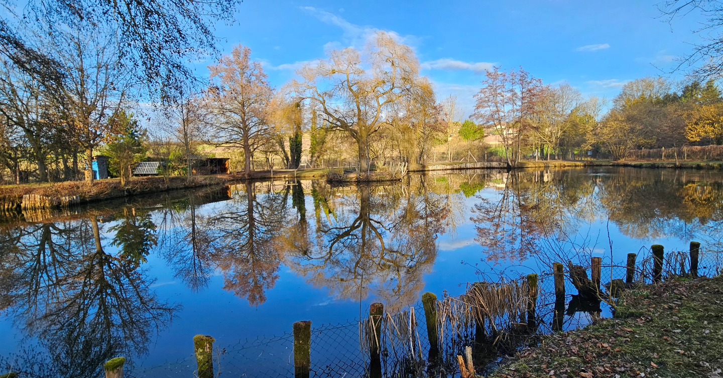 Etang de Manon, Saint-Ouen-Marchefroy - photo 7