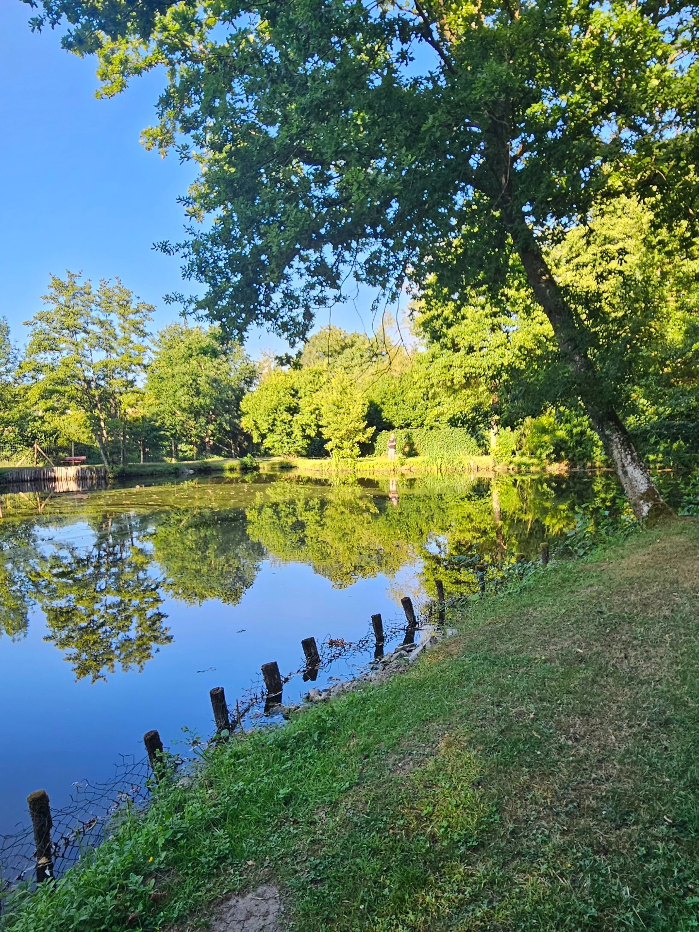 Etang de Manon, Saint-Ouen-Marchefroy - photo 8
