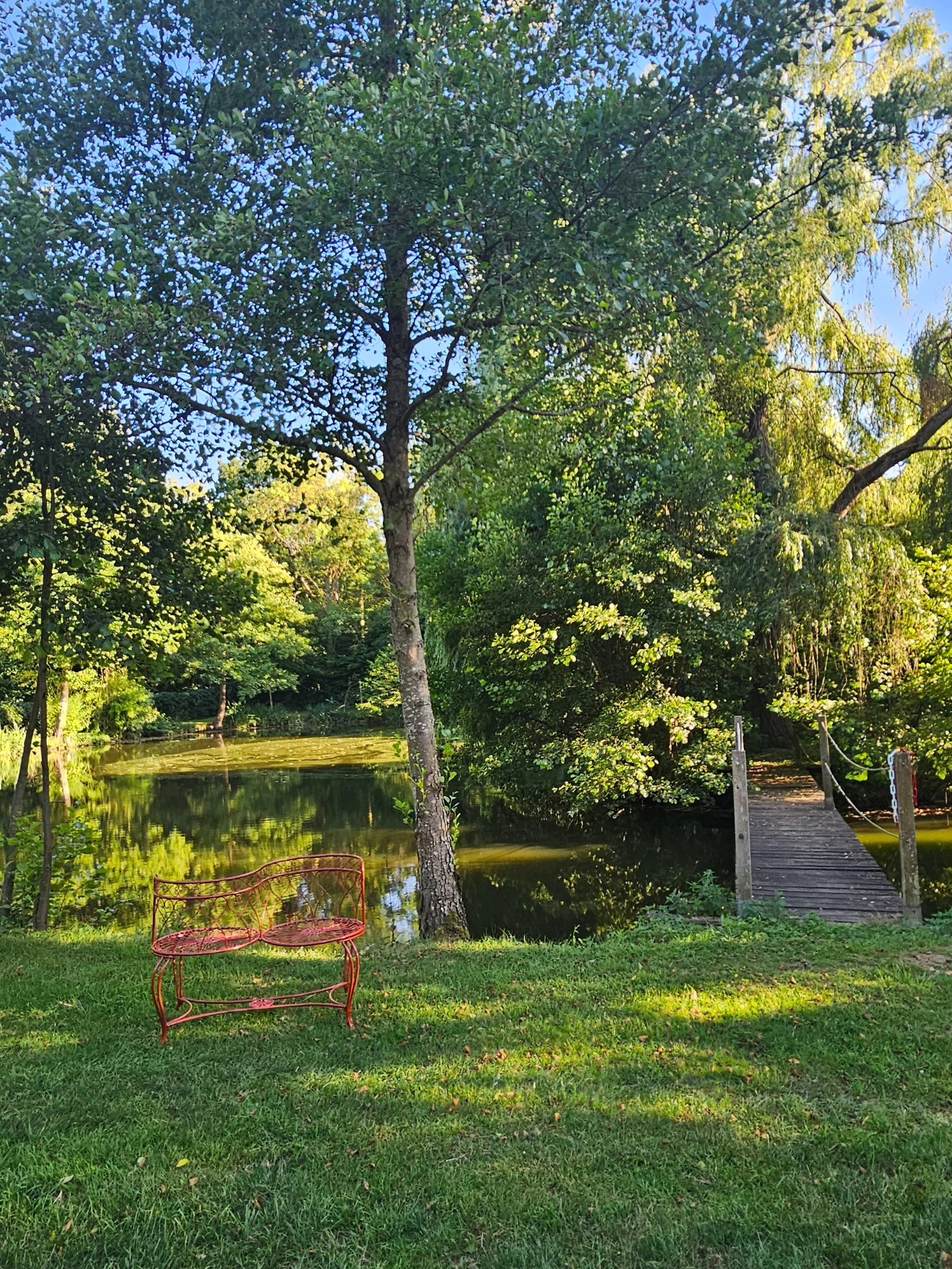 Etang de Manon, Saint-Ouen-Marchefroy - photo 11