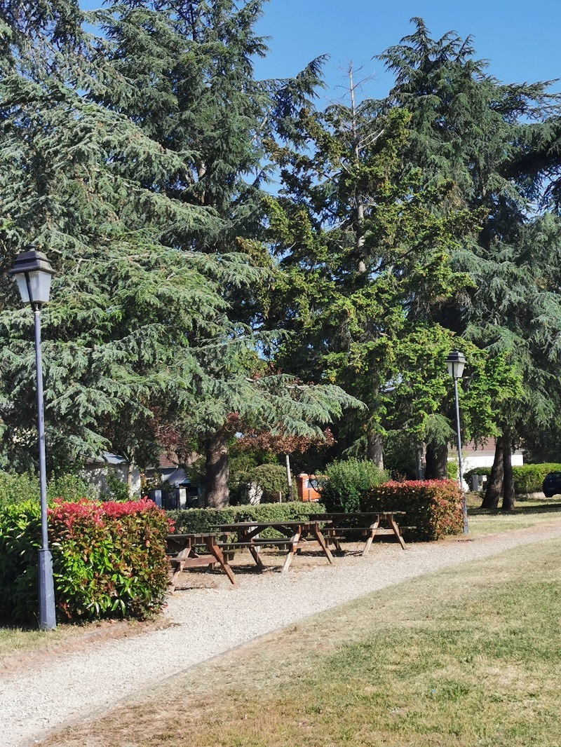 Aire de pique-nique de Bouzy-la-Forêt - photo 2