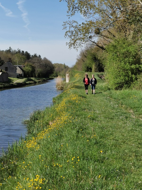 Canal d'Orléans  France Centre-Val de Loire Loiret Fay-aux-Loges 45450