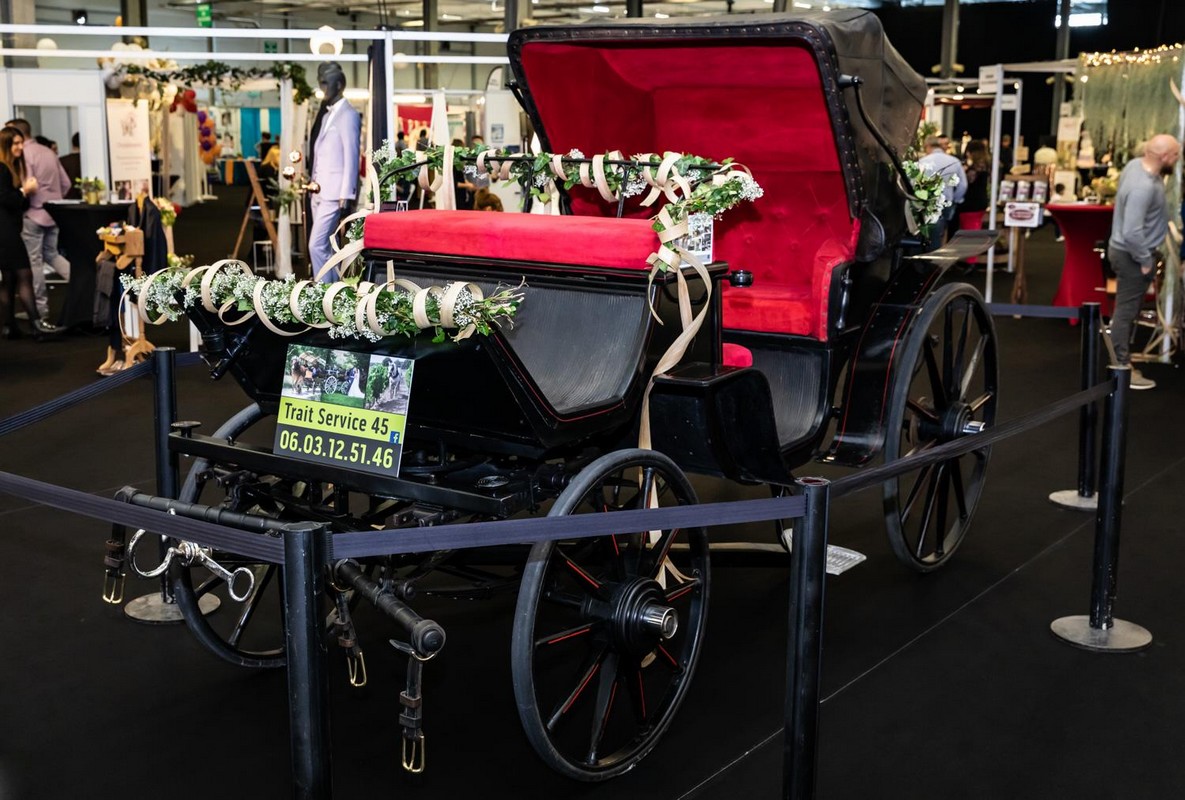 Balades en calèche à l'Étang de la Vallée et en forêt domaniale - photo 4